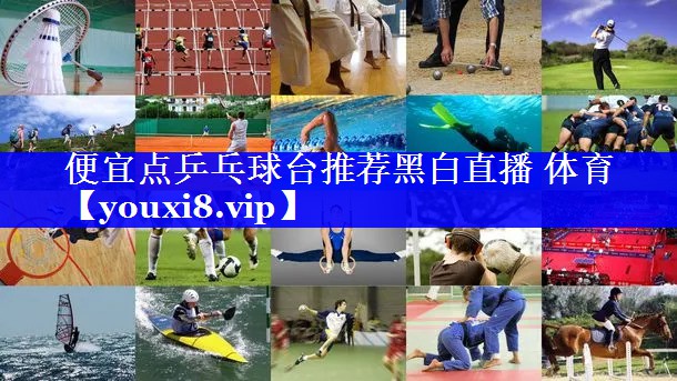 便宜点乒乓球台推荐黑白直播 体育