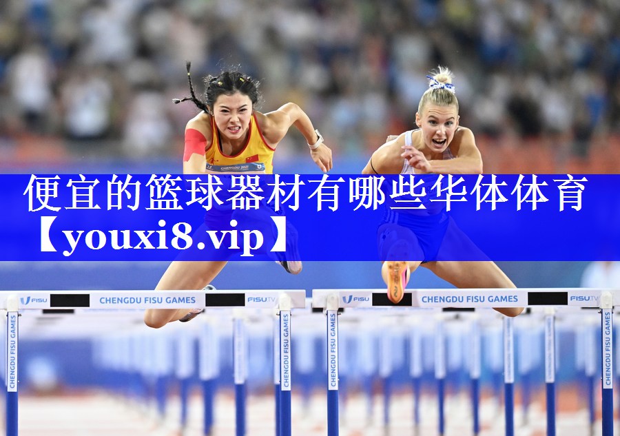 便宜的篮球器材有哪些华体体育