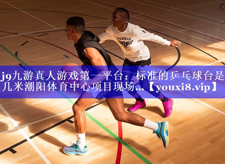 j9九游真人游戏第一平台：标准的乒乓球台是几米潮阳体育中心项目现场…