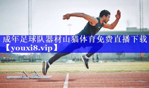 成年足球队器材山猫体育免费直播下载