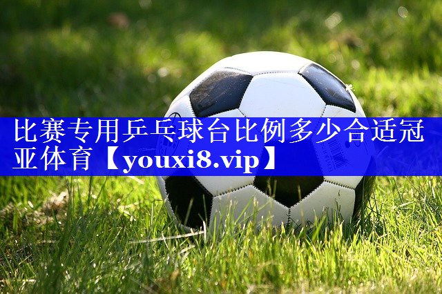 比赛专用乒乓球台比例多少合适冠亚体育