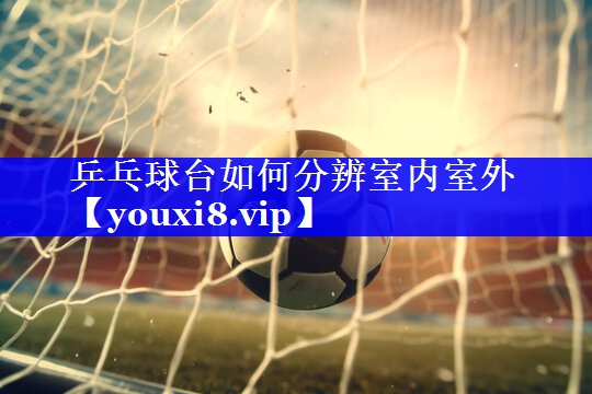 乒乓球台如何分辨室内室外