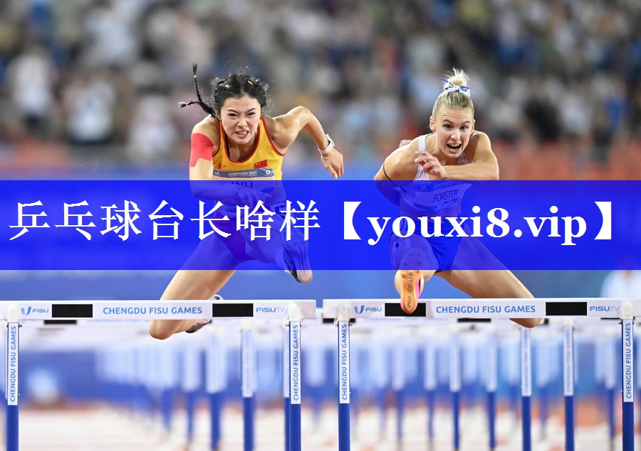乒乓球台长啥样