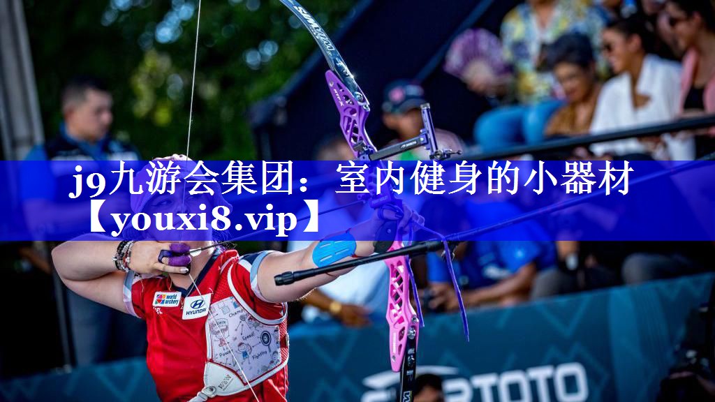 室内健身的小器材 室内健身的小器材